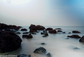 IIP Online Student Photography